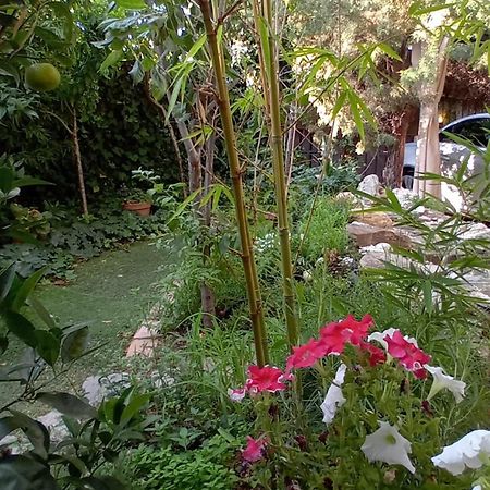 Apartamento Centrico En Villaviciosa de Odón المظهر الخارجي الصورة